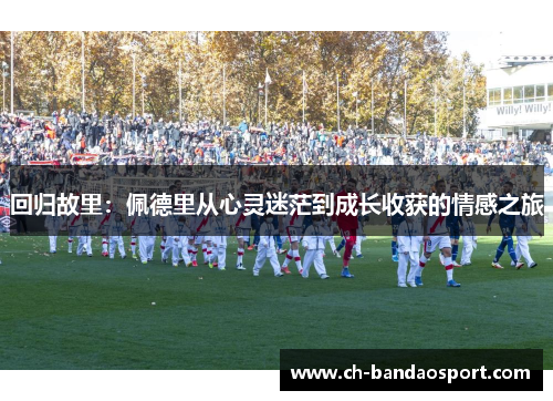 回归故里：佩德里从心灵迷茫到成长收获的情感之旅